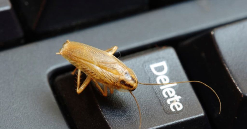 Уничтожение тараканов в офисе в Мытищах