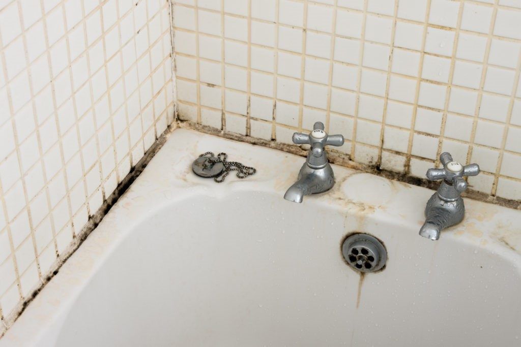 Удаление плесени в ванной комнате, как убрать грибок